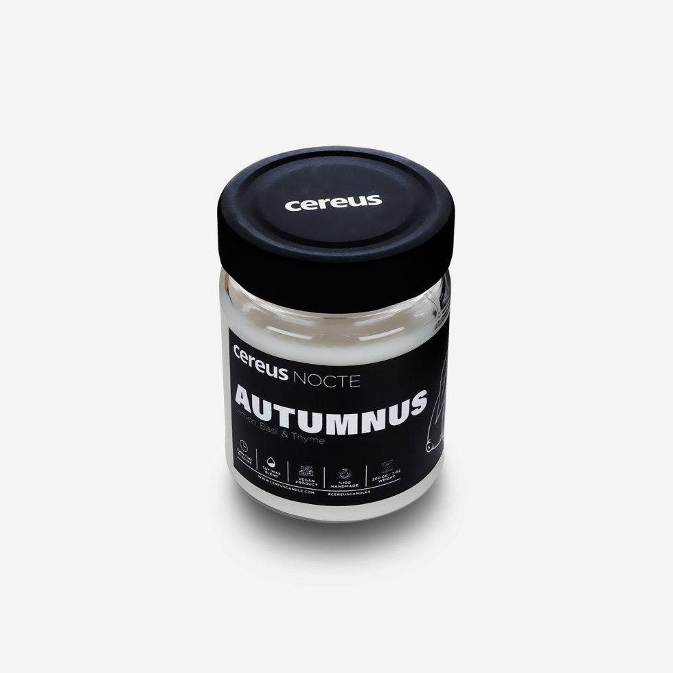 Cereus Nocte Autumnus Lime Feslegen Kokulu Cam Kavanoz Doğal Soya Mum