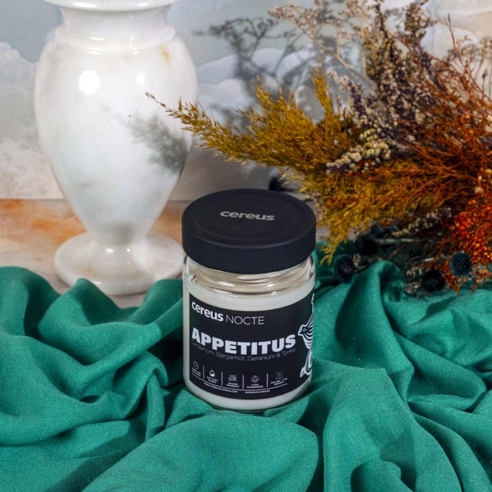 Cereus Nocte Appetitus Kakule Kokulu Soya Mum